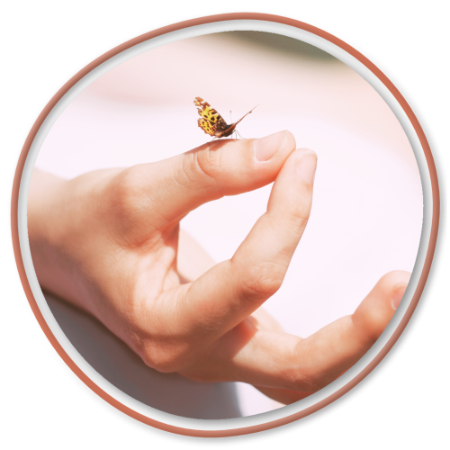 Butterfly gently resting on a hand
